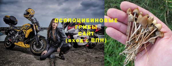 спайс Баксан