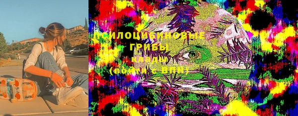 спайс Баксан
