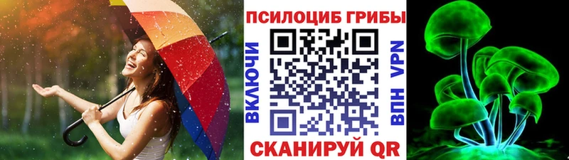 как найти закладки  ОМГ ОМГ ссылка  Галлюциногенные грибы Magic Shrooms  Яблоновский 
